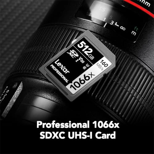 Professional 1066X - 512GB