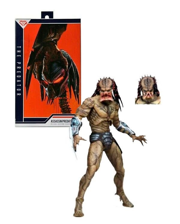Assassin Predator - Predator