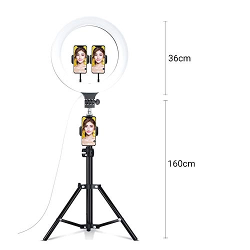 Ring Light - 14-inch 3 Color Modes 10 Brightness