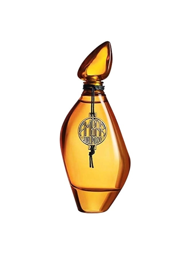 Ambar Eau de Toilette 100ml