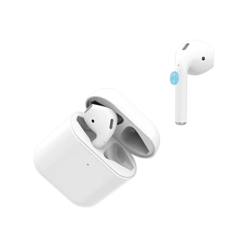 Lion True Wireless Earbuds Wireless Earbud