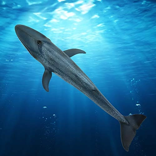 Vivid Fish Model - 10.6x3.9x2 Inches Plastic