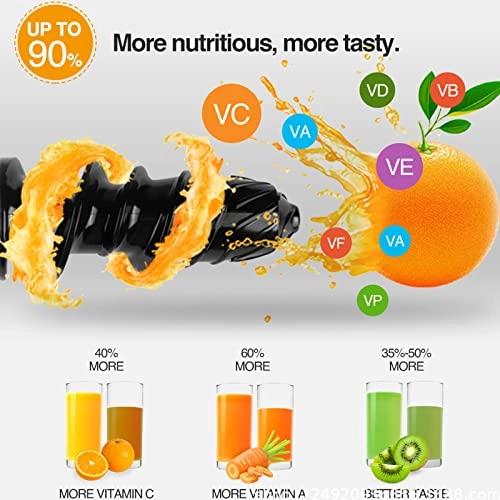 Slow Masticating Juicer - 250W 1300ml