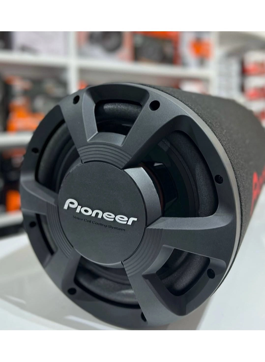 TS-WX306B - 30 cm 1300 W Peak