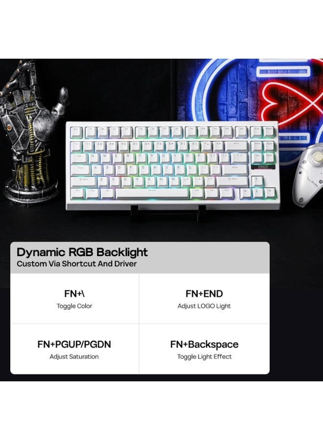 G84 - Wired/Wireless