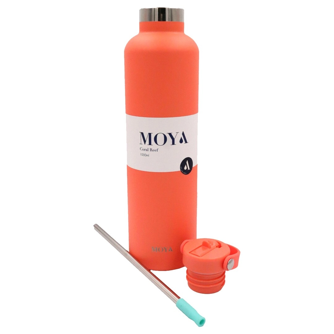 Coral Reef Flask - 1L