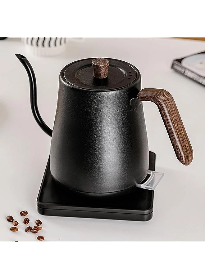 PROMASS Gooseneck Stainless Steel Electric Kettle