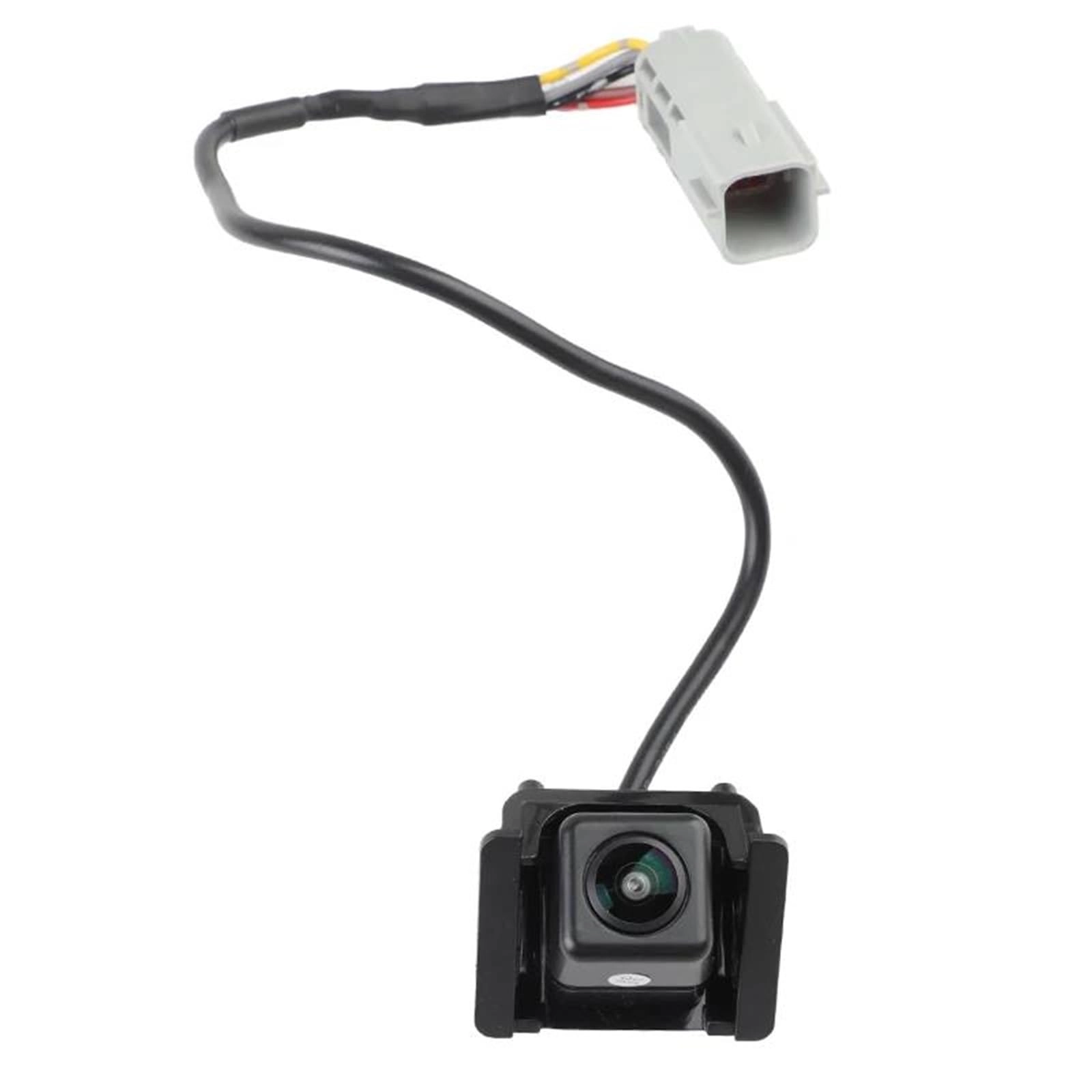 NYSQOFMB 22885399 - Night vision