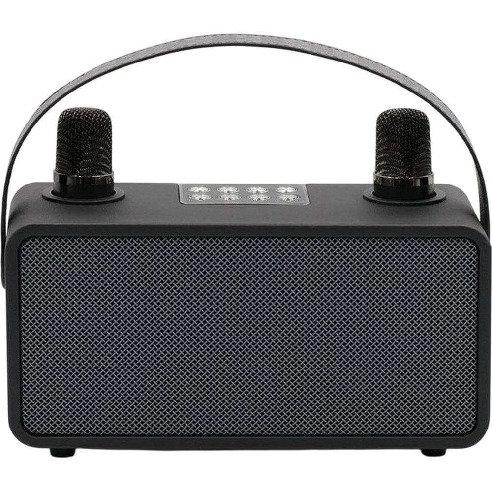 PulZ Mini Karaoke System - 2 Microphones