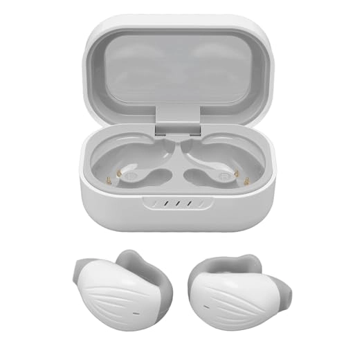 Translation Earphones