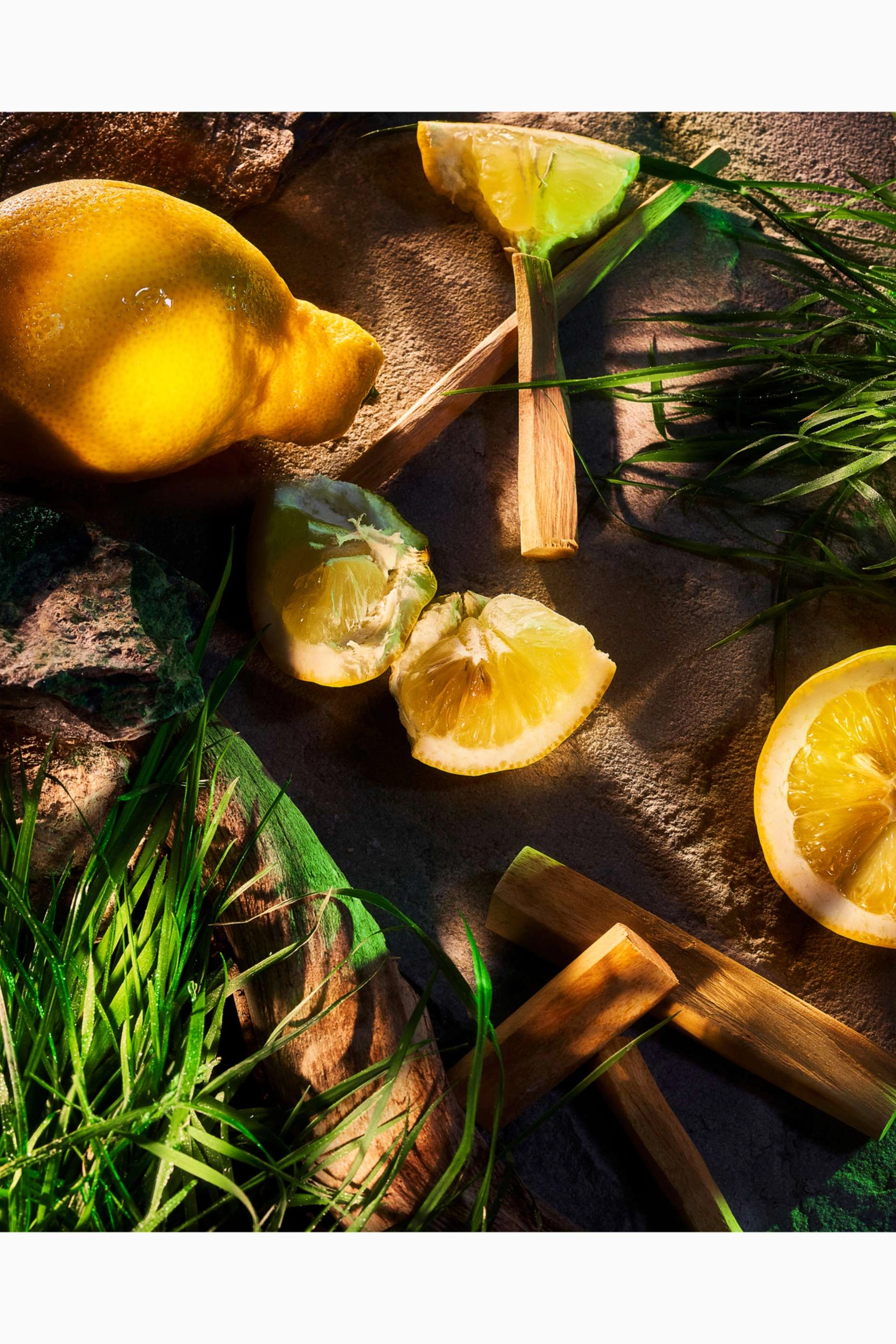 Vetiver Pour Homme Eau de Parfum 100ml