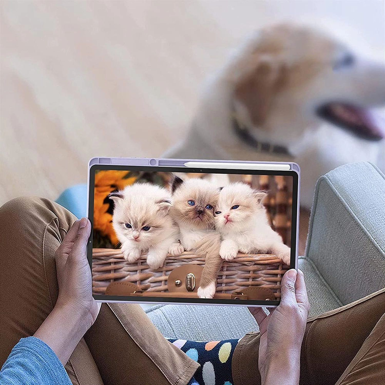 Magnetic Case with Screen Protector for Samsung Galaxy Tab S8 Ultra 14.6-inch