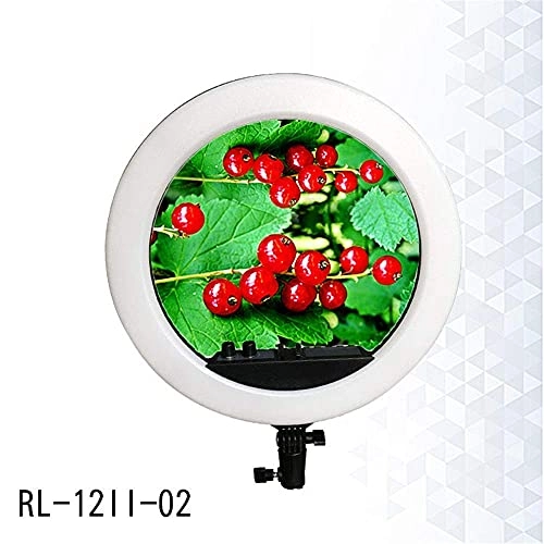 LED Ring Light - 22 Inch