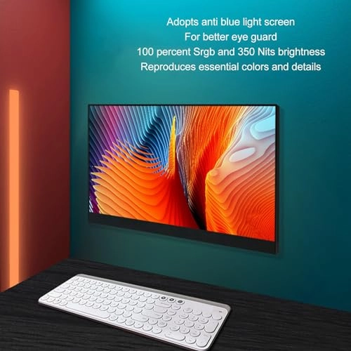 Portable Monitor - HDR 1080P FHD 13.3 Inch