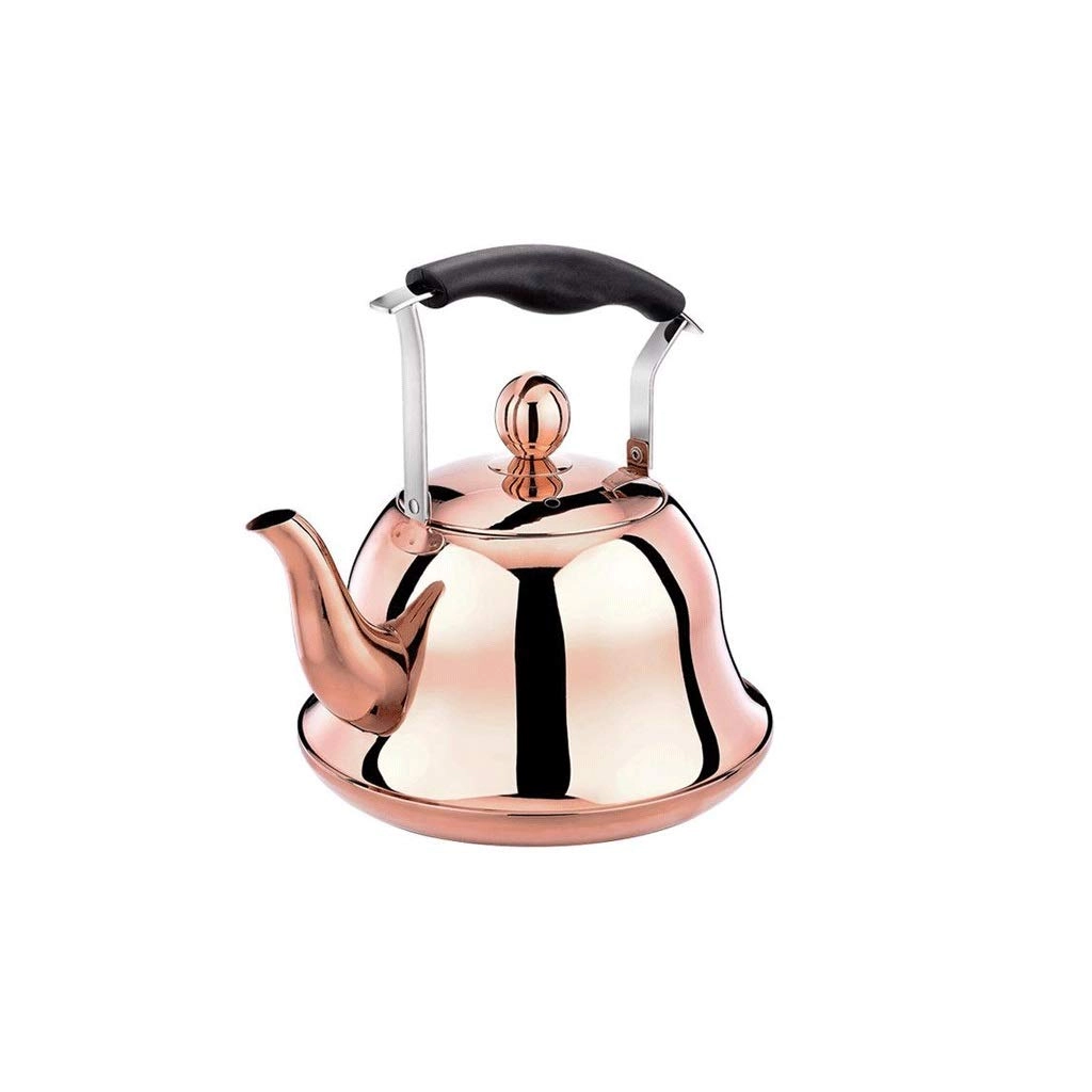 Stovetop Induction Whistling Kettle - 5L