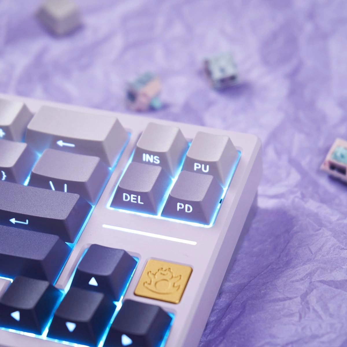 Doubleshot PBT Keycap
