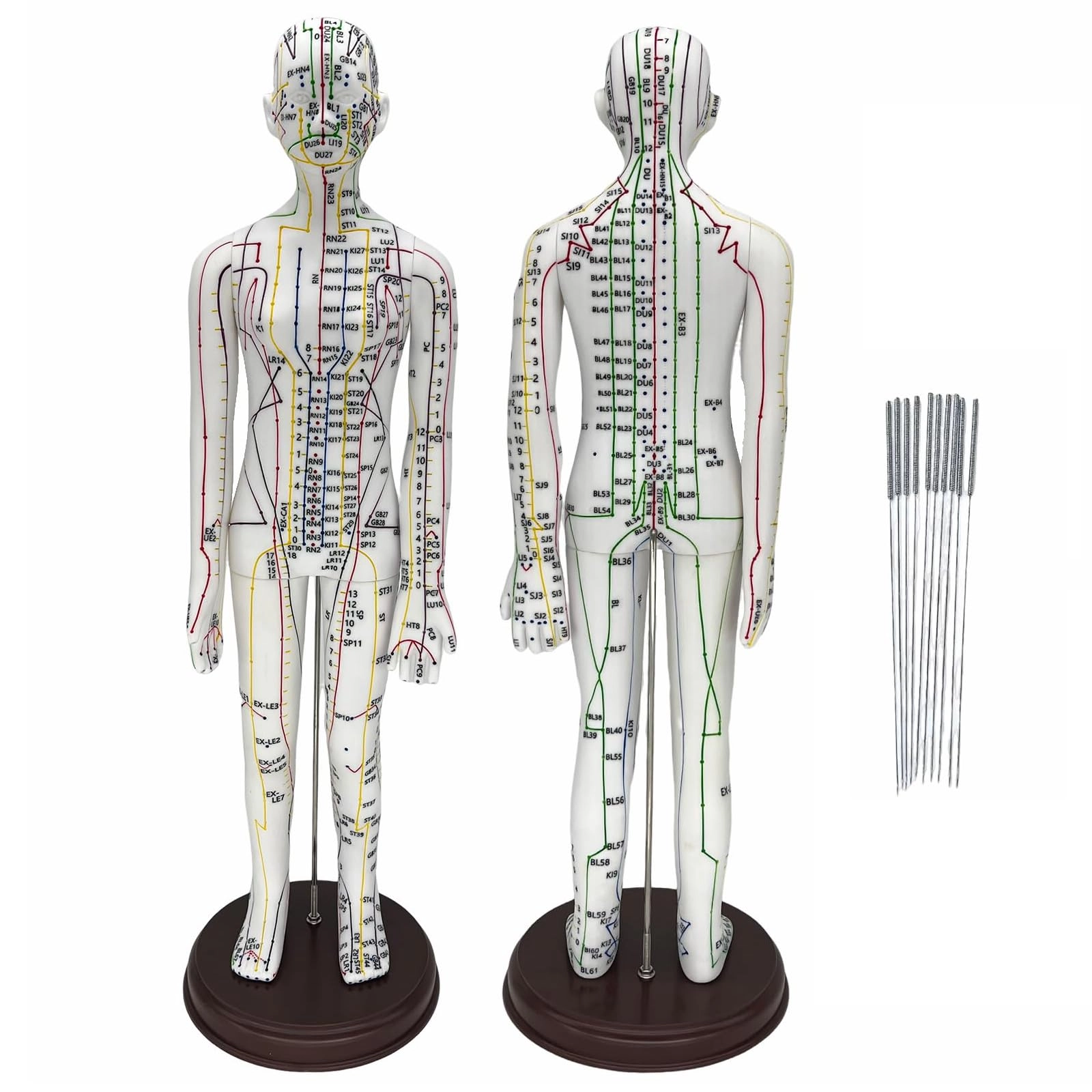 pocdokyz Acupuncture Doll - 52cm 1/3 Scale