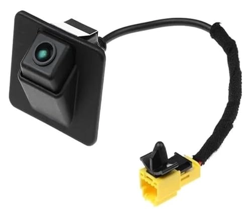 Rear View Camera - Night Vision