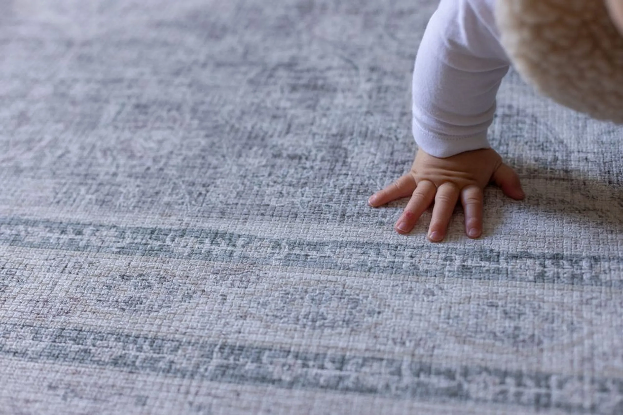 Portobello And The Brimfield - Newborn