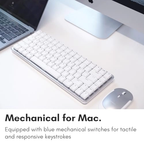 BTBLMBSMINIA - Wireless