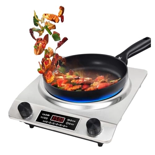 Single Burner ELECTRIC Cooker