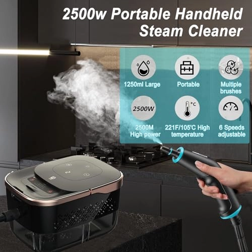Hand Held Steam Cleaner