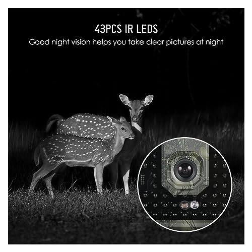 Hunting Camera - 16MP