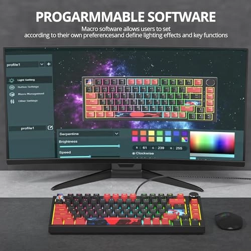 75% TKL Wired Mechanical Keyboard - Wired/Wireless