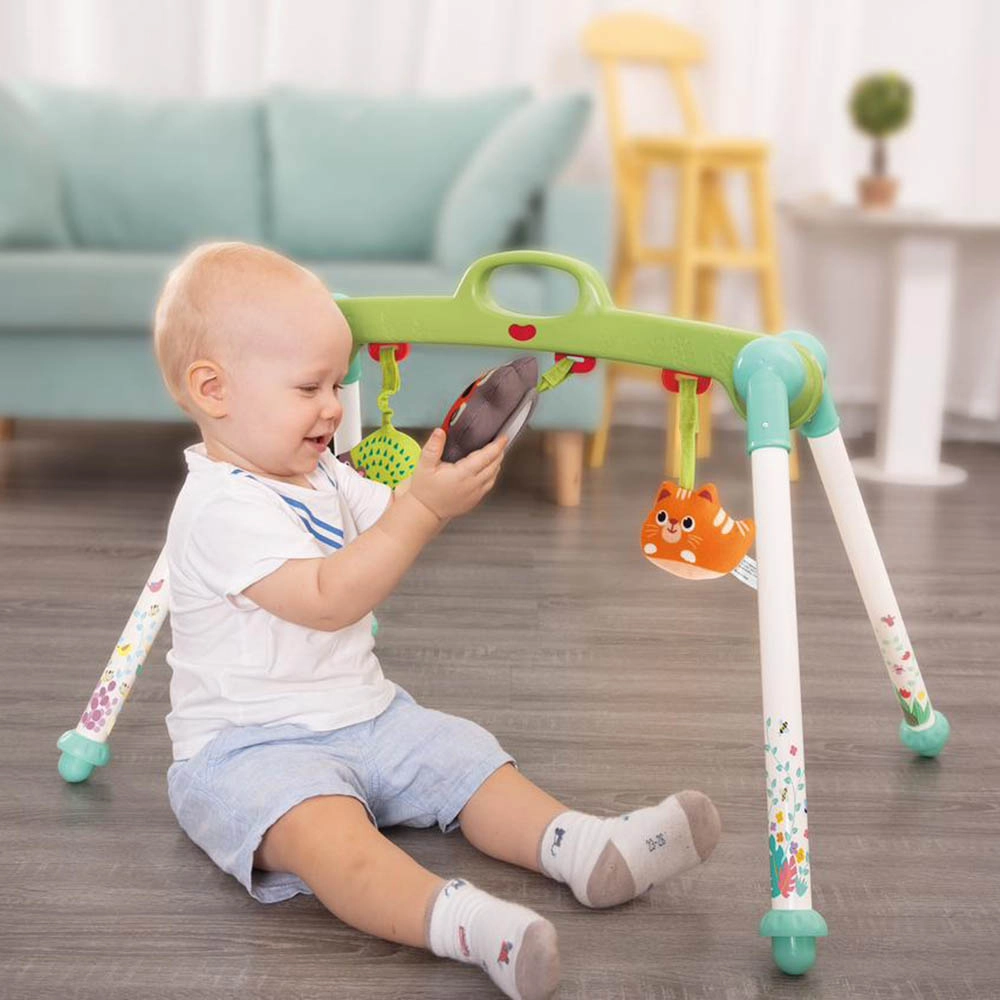 Baby Activity Play Gym - 0 month