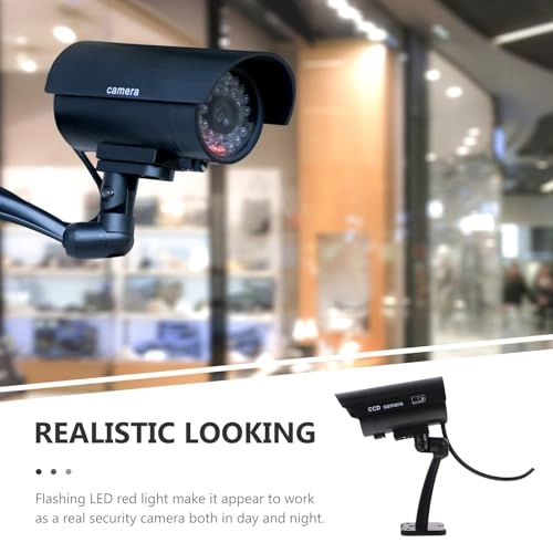 Fake Camera - Indoor Outdoor