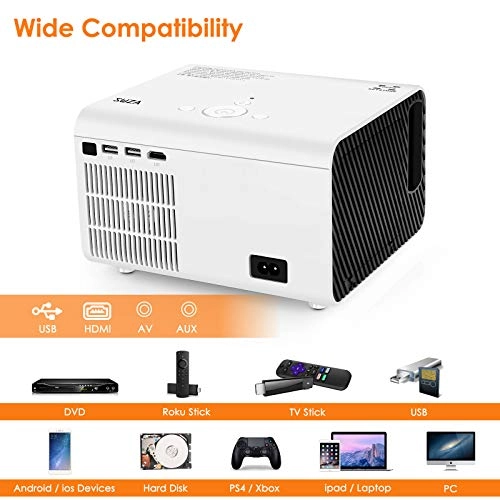 V509 300 ANSI Lumens