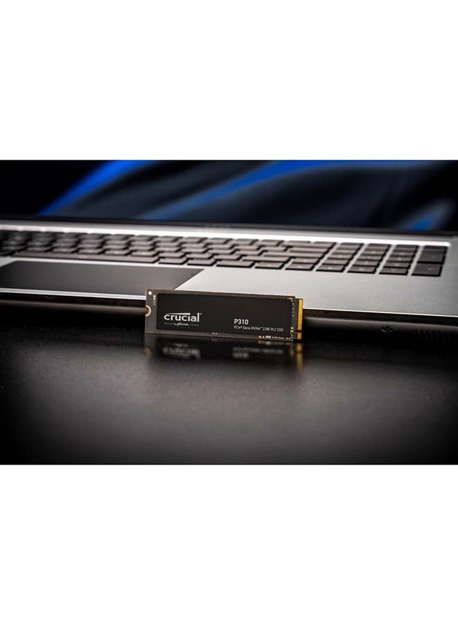 P310 - 2TB M.2