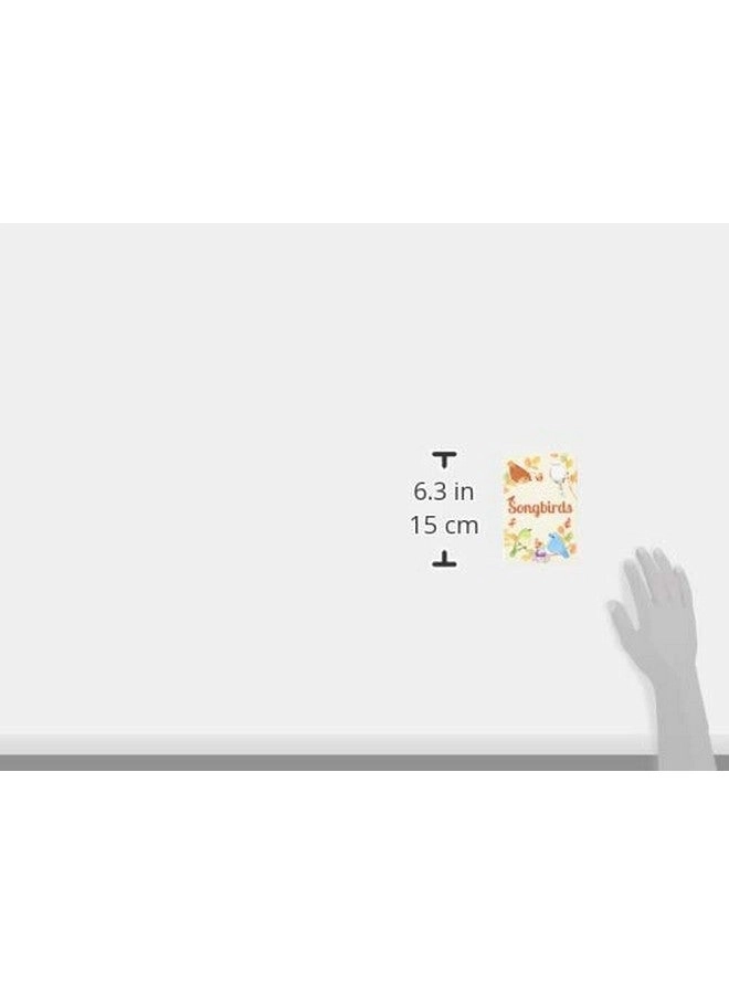 Songbirds - Card Game