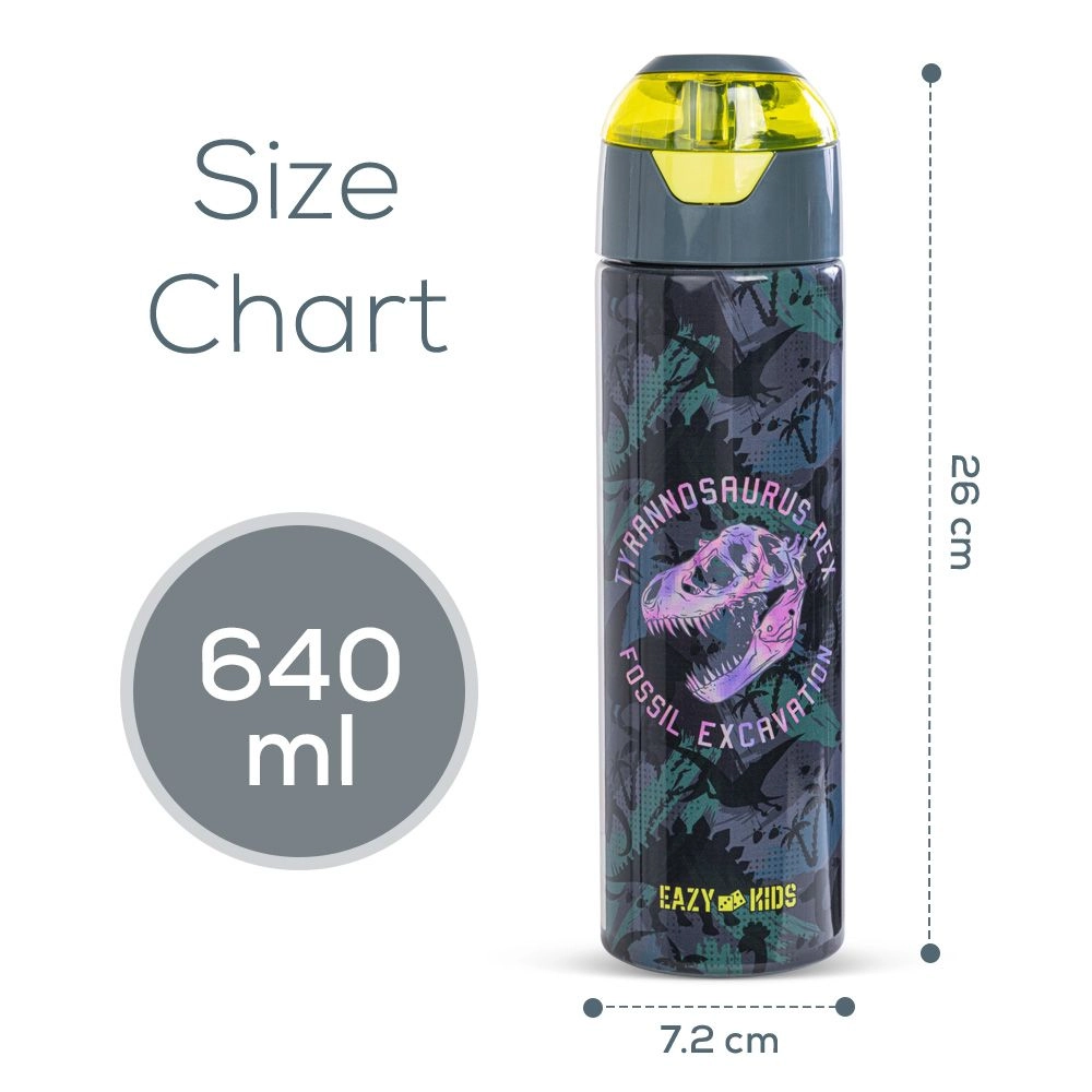 Insulated Stainless Steel Water Bottle - 640 ml - Spray