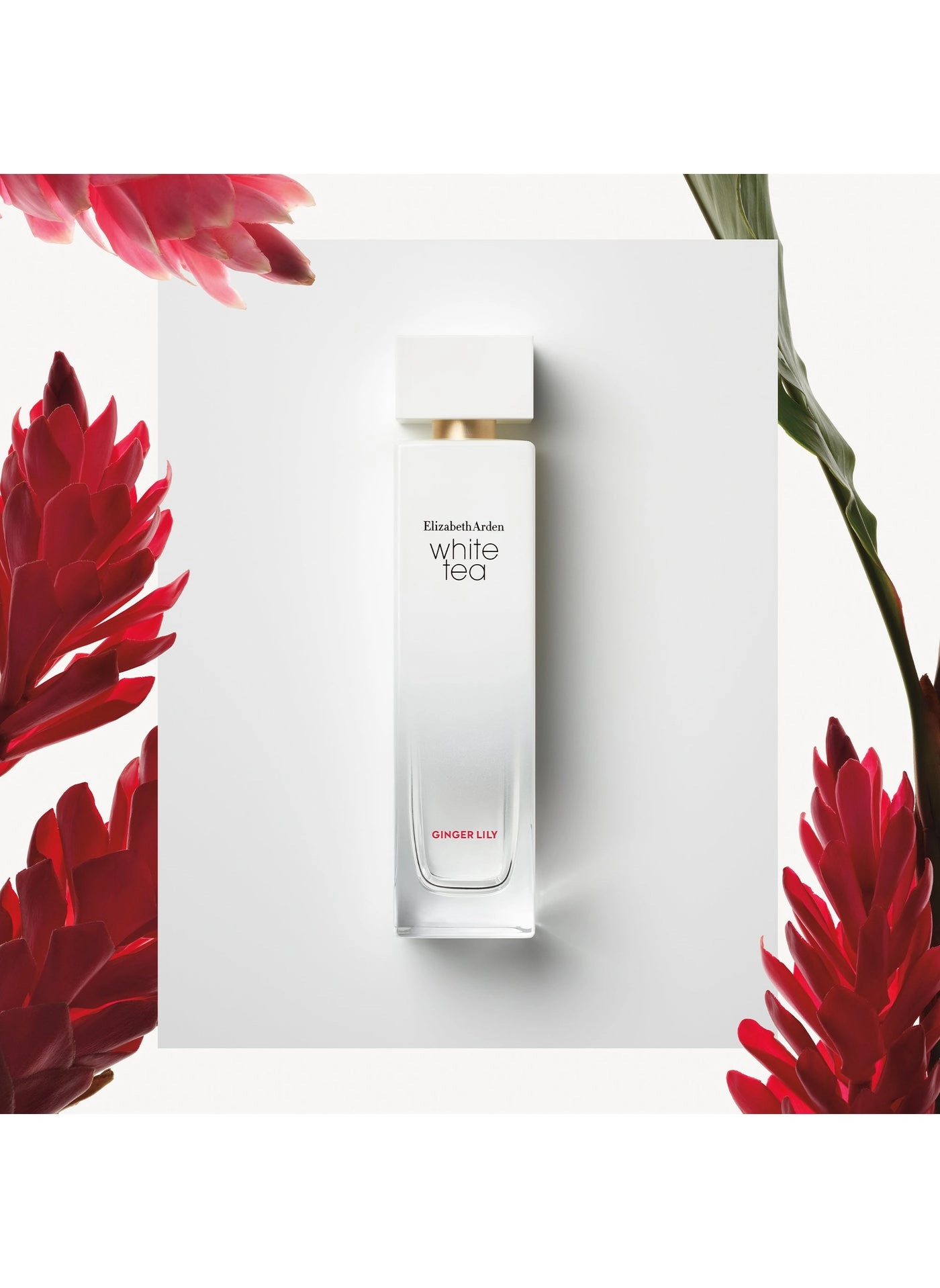 White Tea Ginger Lily Eau de Toilette 100 ml