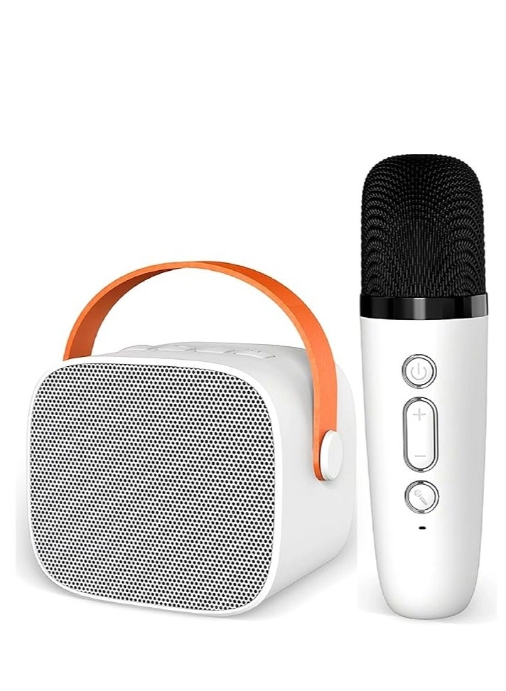 Karaoke Speaker Set - 2 wireless microphones