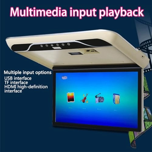 Car ceiling display - 19-Inch