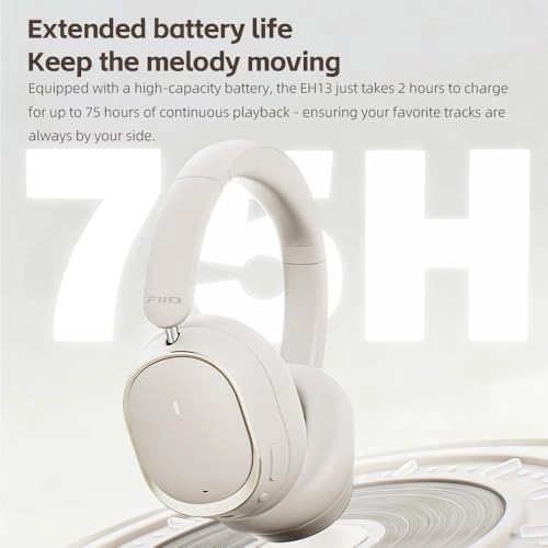 EH13 Wireless Headphone