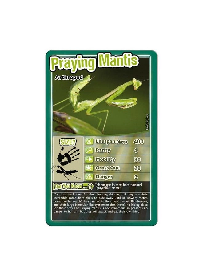 Bugs Classic Card Game - 6 years+