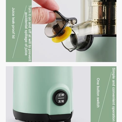 masticating juicer - 120W