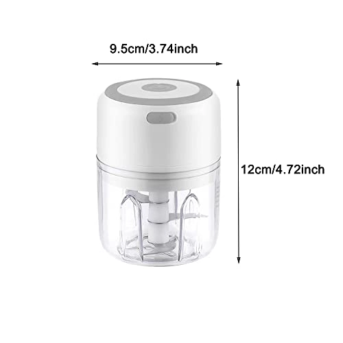 Mini Garlic Chopper - 250ml 30 watts