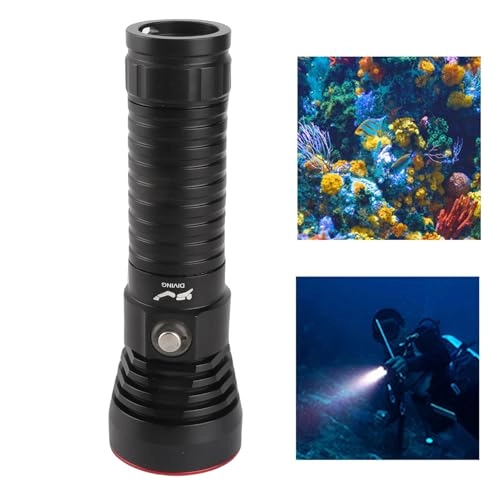 LED Dive Torch - 2000LM IPX8