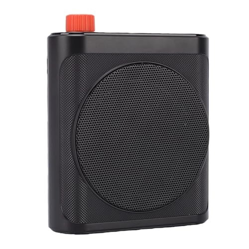 ufjcxqyr4e-11 Wireless+USB Microphone