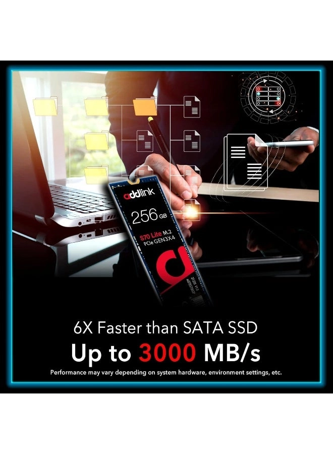 ad256GBS70LTM2P - 256 GB M.2 2280
