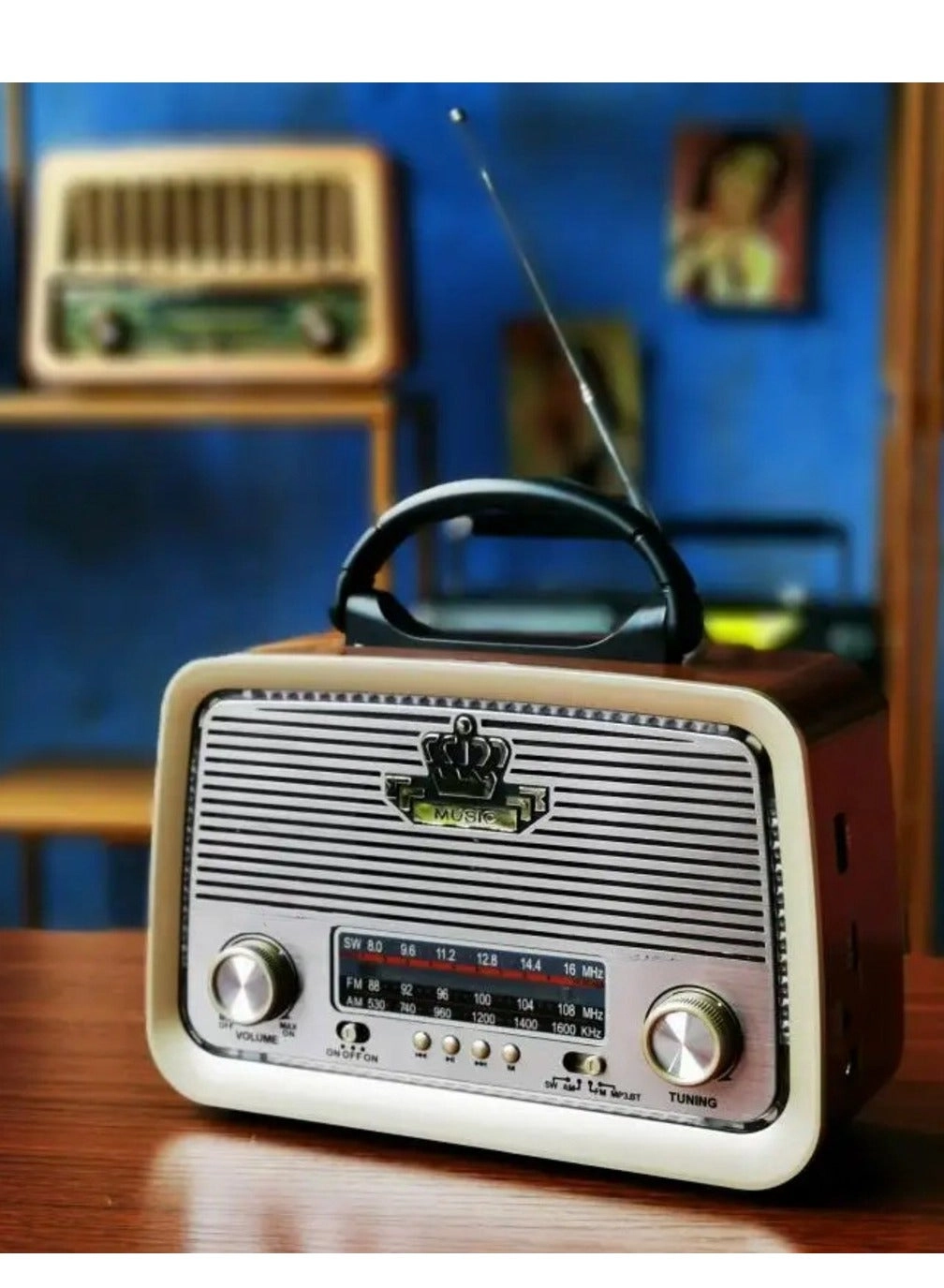 Bluetooth Radio Speaker - FM