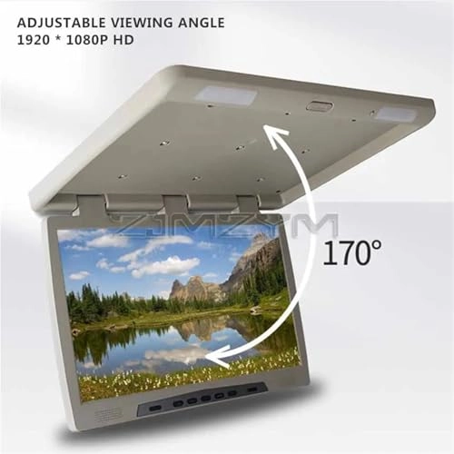 Roofmount LCD Monitor - 19in