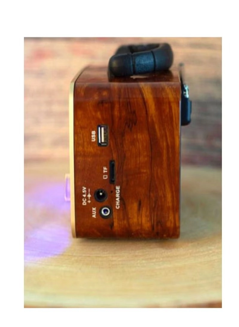 Bluetooth Radio Speaker - FM