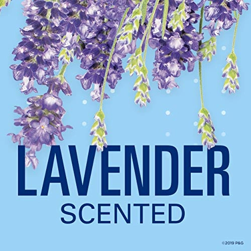 Ph Balanced Invisible Solid Clean Stick - Lavender 73.94 gram
