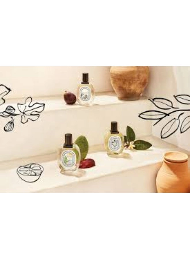 Ilio Eau de Toilette 100ml