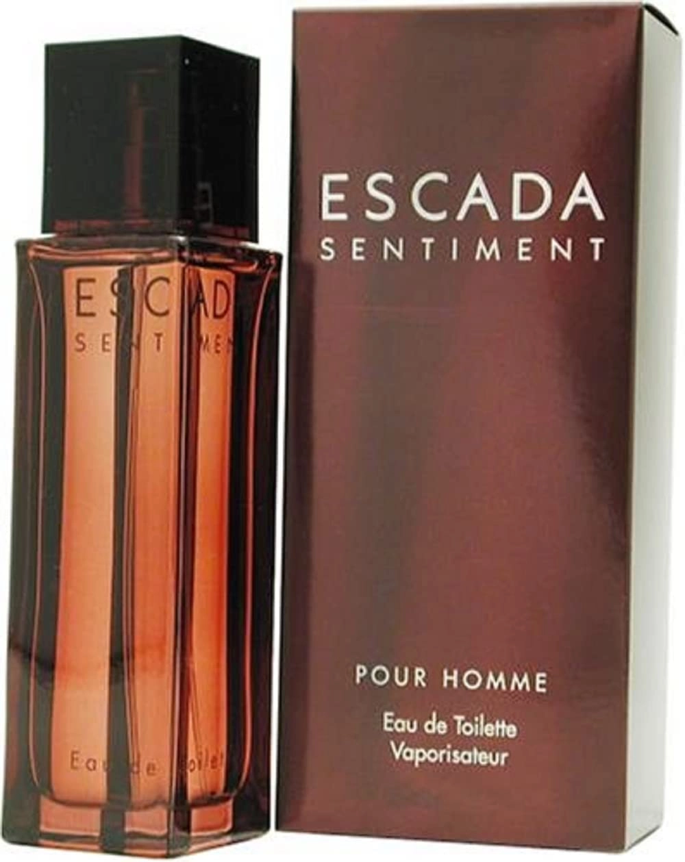 Sentiment Eau de Toilette 100ml